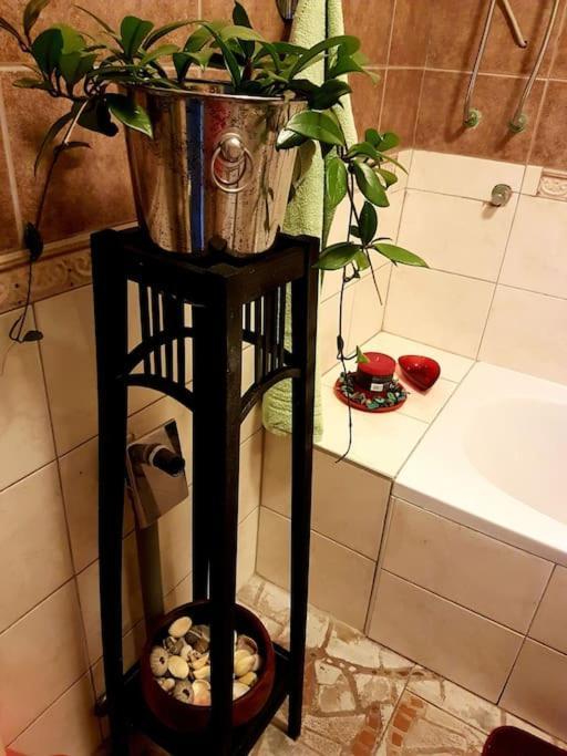 Apartament Zelena Oaza Skrljevo Zewnętrze zdjęcie